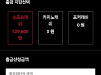 투혼 토지노 먹튀