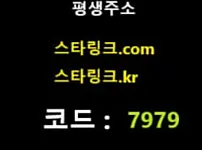 스타링크 카지노 먹튀