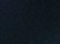 애국벳 사용금지