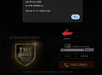 더나인 130만원 먹튀