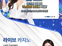 뉴스카지노 151만원먹튀