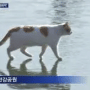 꽁꽁얼어붙은