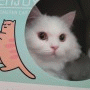 랑이